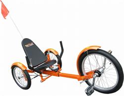 Pro Chopper Pedal Bike 20in